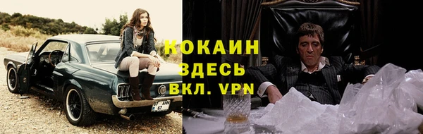 прущие грибы Богородск