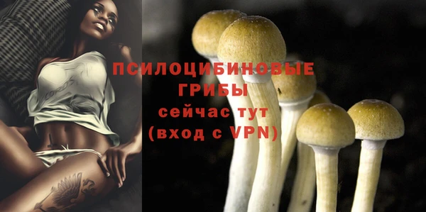 мяу мяу мука Богданович