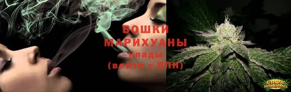 прущие грибы Богородск
