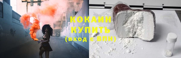 прущие грибы Богородск