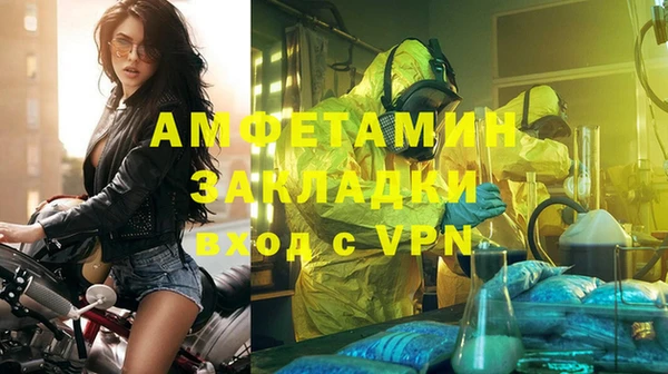 прущие грибы Богородск