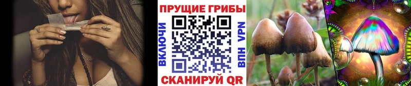 наркошоп  Стерлитамак  Псилоцибиновые грибы прущие грибы 